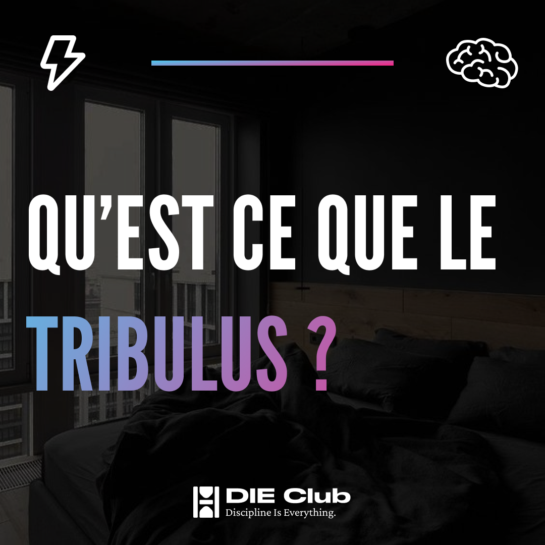 What is tribulus
