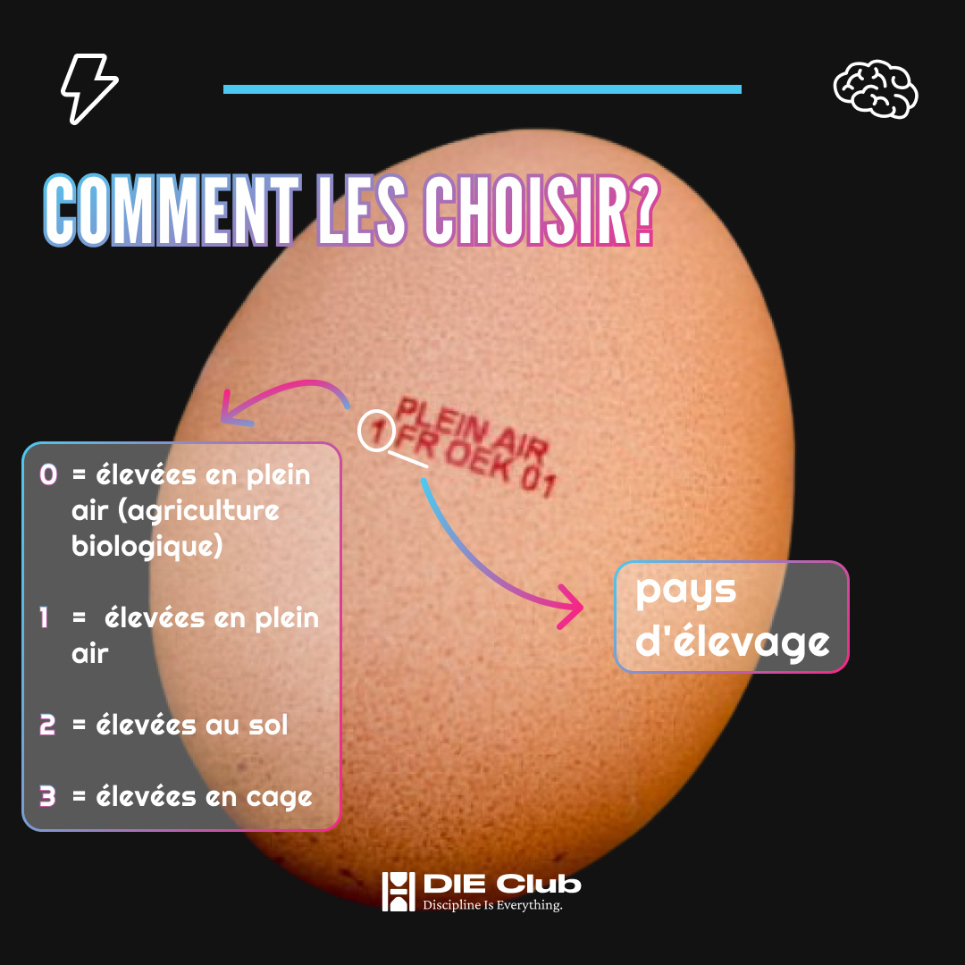 post_oeufs 3